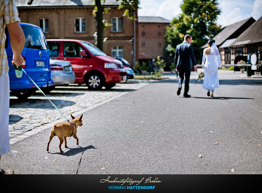 Hochzeitsfotograf Luebbenau Spreewald