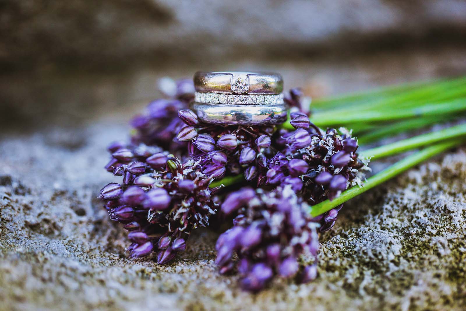 Detailfoto Trauringe Blumen Copyright by Hochzeitsfotograf www.berliner-hochzeitsfotografie.de